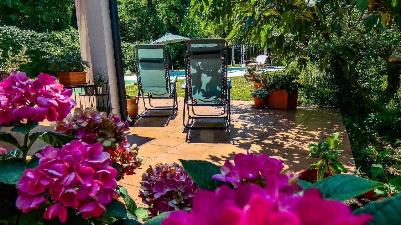 Apartment Nona Ancka Marezige Dış mekan fotoğraf