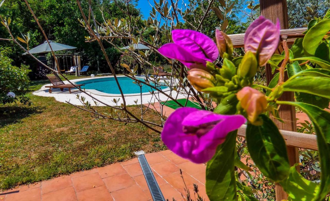 Apartment Nona Ancka Marezige Dış mekan fotoğraf