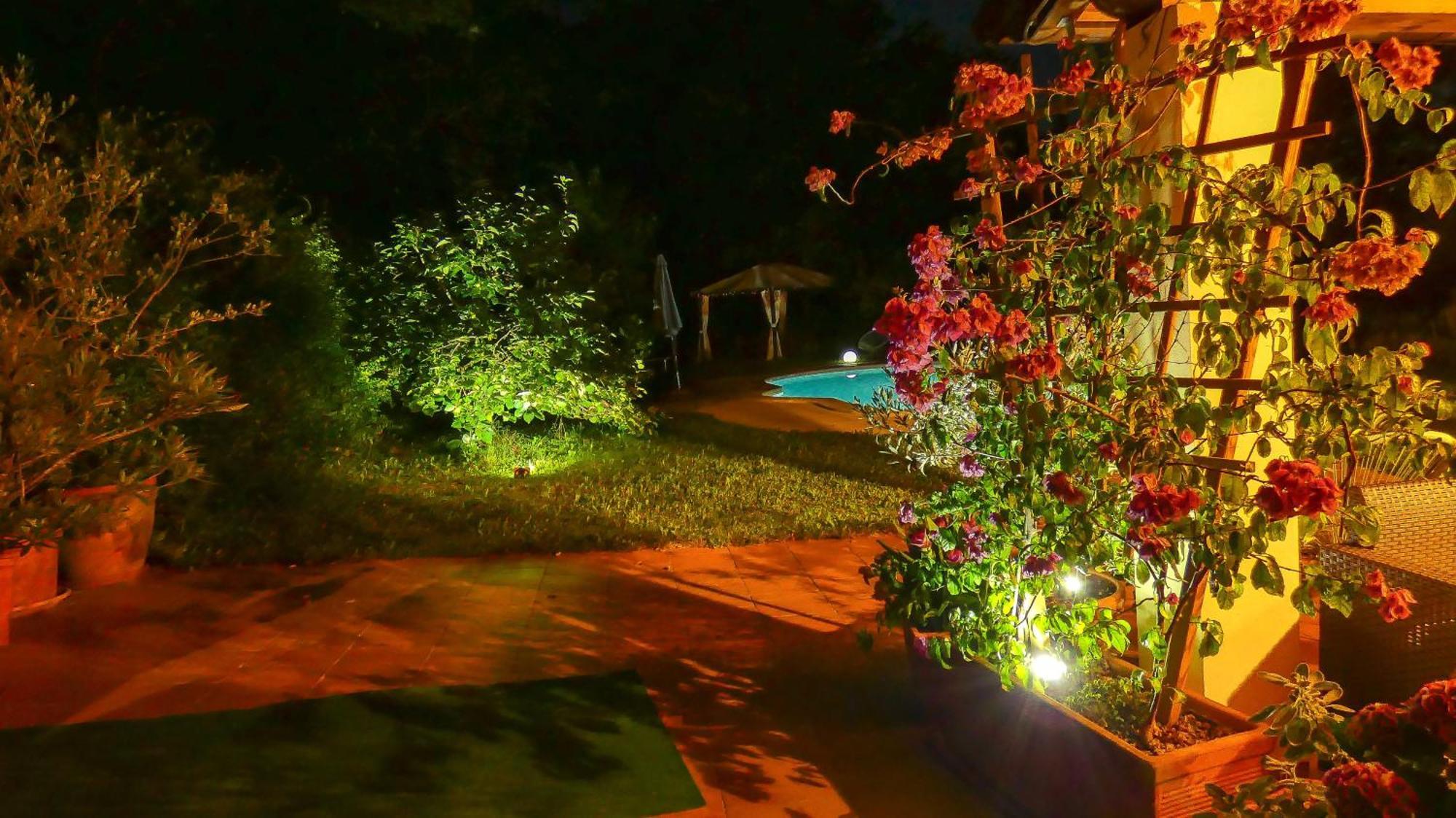Apartment Nona Ancka Marezige Dış mekan fotoğraf