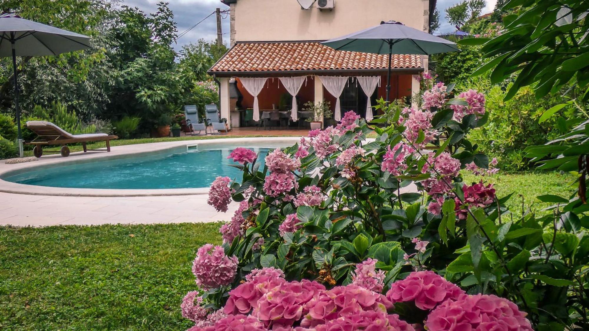 Apartment Nona Ancka Marezige Dış mekan fotoğraf