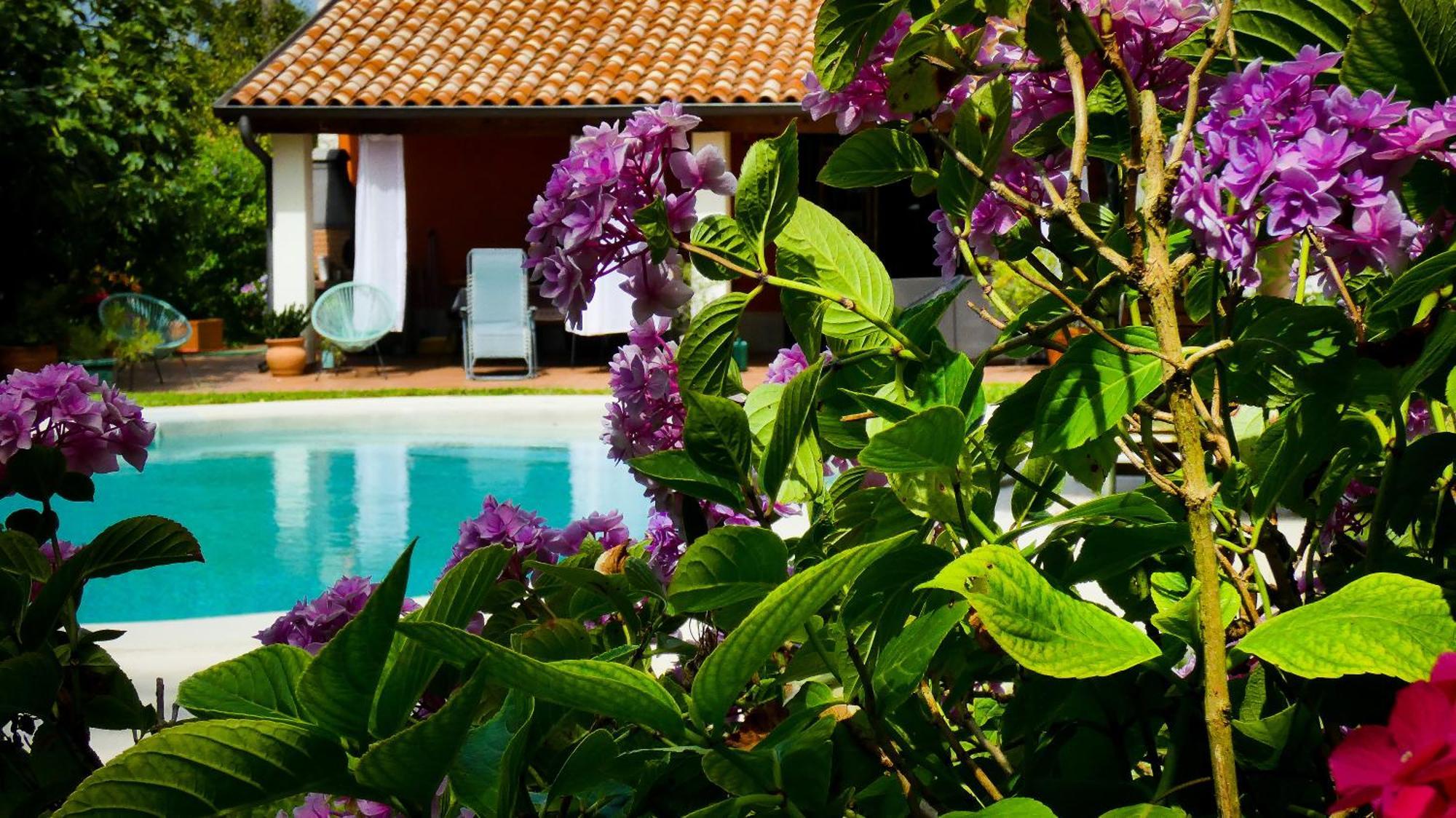 Apartment Nona Ancka Marezige Dış mekan fotoğraf