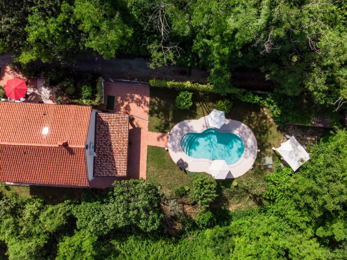 Apartment Nona Ancka Marezige Dış mekan fotoğraf